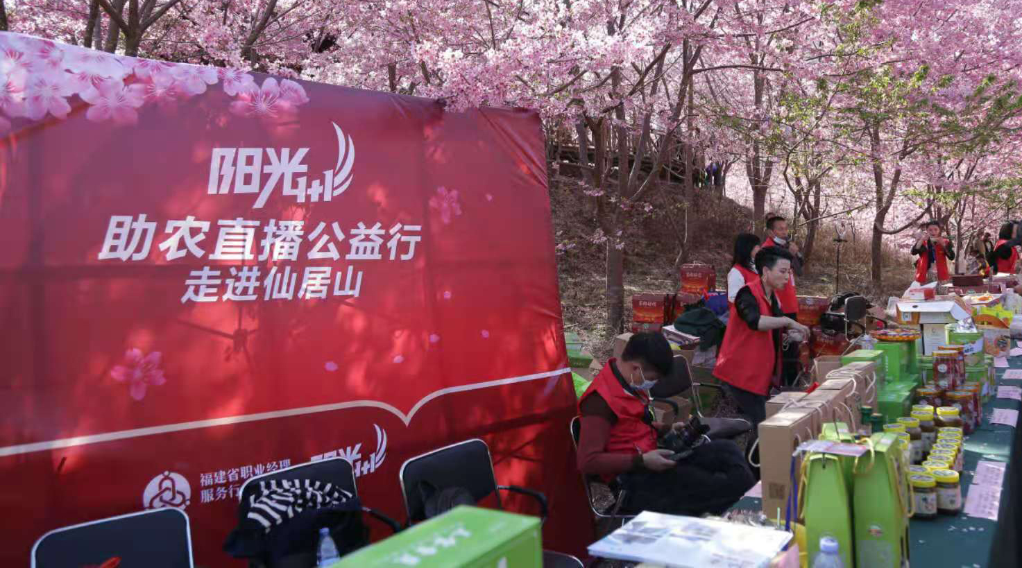 阳光1+1首图.jpg
